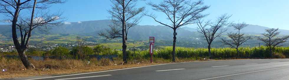 Benjoins sur la route de La Rivire St-Louis