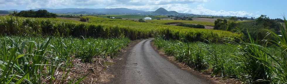 Vers Bassin Plat - Chemin de la Croix jubil