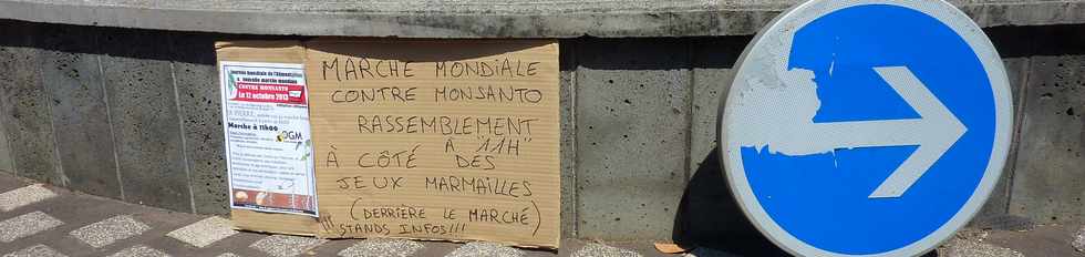 St-Pierre - Boulevard Hubert-Delisle - 12 oct 2013 - Marche mondiale contre Monsanto