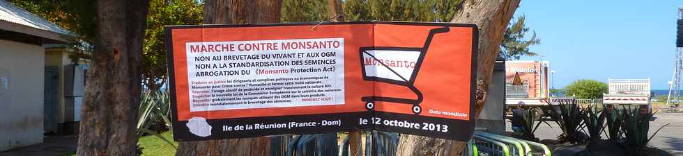 St-Pierre - Boulevard Hubert-Delisle - 12 oct 2013 - Marche mondiale contre Monsanto