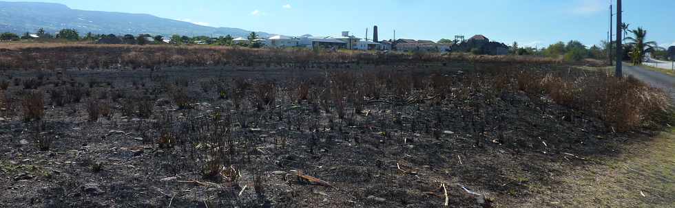 Oct 2013 - Incendie de savane  Pierrefonds