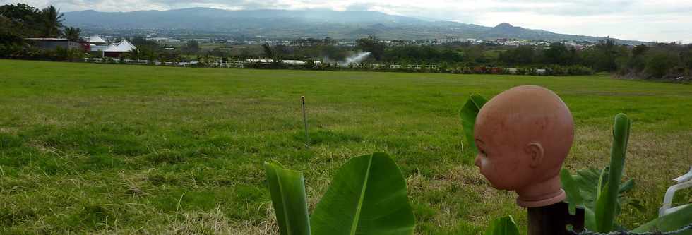 Herbages Alle Jacquot