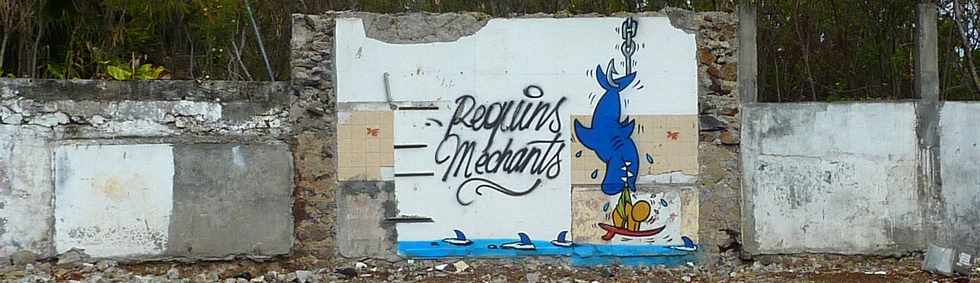 St-Pierre - Rue Victor Le Vigoureux - Requins mchants