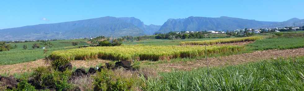 Point de vue vers les Hauts depuis la ZAC Canabady