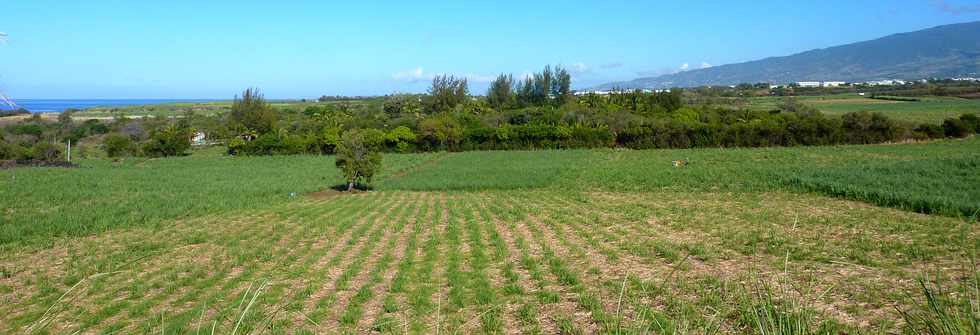 Panorama vers St-Louis depuis la ZAC Canbady