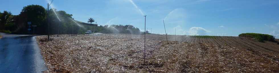 13 nov 2013 - St-Pierre - Grands Bois les Hauts - Irrigation