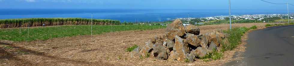 13 nov 2013 - St-Pierre - Grands Bois les Hauts -