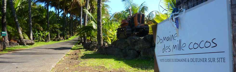 13 nov 2013 - St-Pierre - Grands Bois les Hauts - Domaine des mille cocos