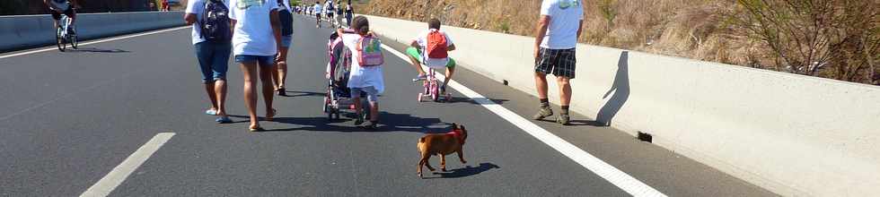 A pied,  vlo sur la route des Tamarins ... Opration route libre 17 novembre 2013 -