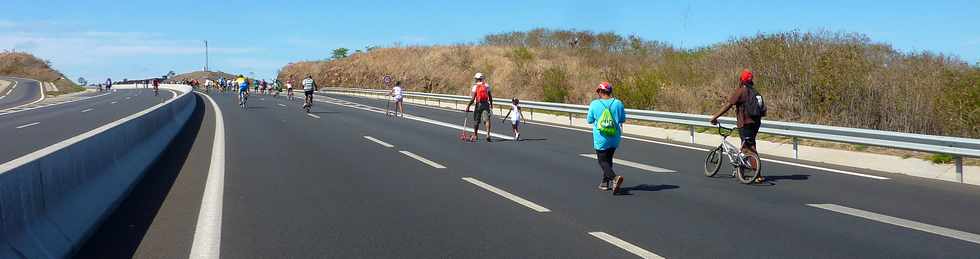 A pied,  vlo sur la route des Tamarins ... Opration route libre 17 novembre 2013 -