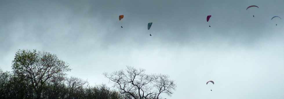 A pied,  vlo sur la route des Tamarins ... Opration route libre 17 novembre 2013 -