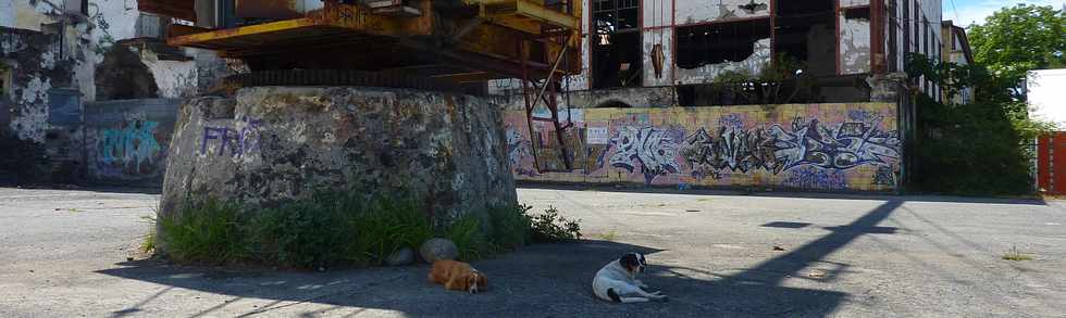 27 novembre 2013 - St-Pierre - Pierrefonds - Ancienne usine sucrire -