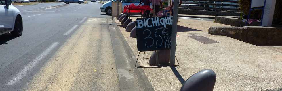 29 novembre 2013 - St-Pierre - Bd Hubert-Delisle - Bichiques