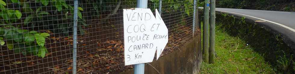 1er décembre 2013 - St-Pierre - Vente coq, poule ...