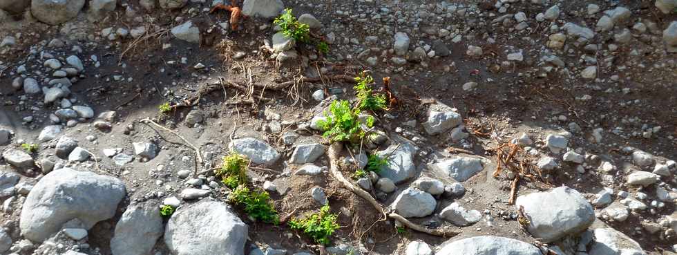 1er dcembre 2013 - Rivire St-Etienne - chantier de l'interconnexion des primtres irrigus du Bras de la Plaine et du Bras de Cilaos