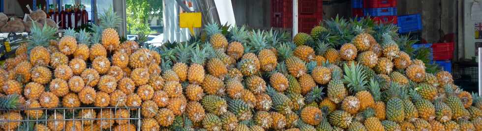 5 dcembre 2013 - Ravine Blanche - Ananas