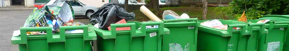 Ravine des Cabris - Poubelles vertes sans couvercles