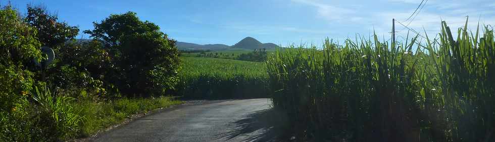 7 fvrier 2014 - St-Pierre - Bassin Plat -  Vue sur Piton Mont Vert