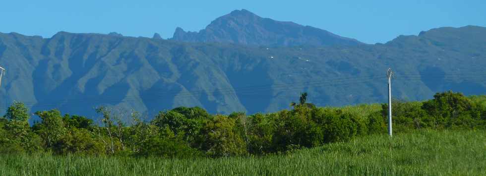 7 fvrier 2014 - St-Pierre - Vue sur le Piton des Neiges