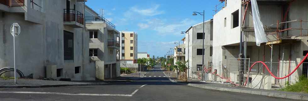 9 fvrier 2014 - St-Pierre - Ravine Blanche -  Rue Collardeau