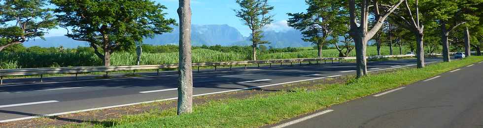 16 fvrier 2014 - St-Pierre - Voie cannire vers le Tampon - Quatre-voies