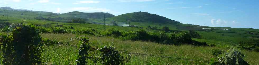 16 fvrier 2014 - St-Pierre - Voie cannire vers le Tampon - Pitons de Bassin Martin