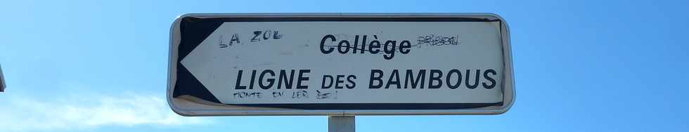 16 fvrier 2014 - St-Pierre - Collge Ligne des Bambous