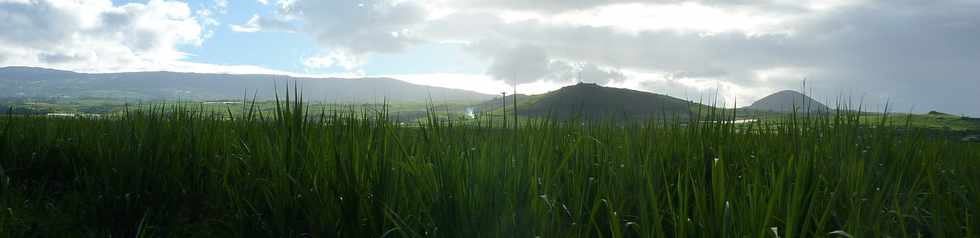 23 fvrier 2014 - St-Pierre -  Pitons de Bassin Martin et Piton Mont Vert