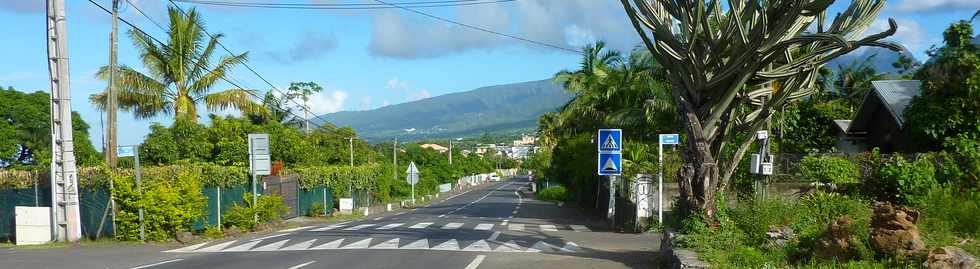 23 fvrier 2014 - Ligne des Bambous - Chemin Recherchant