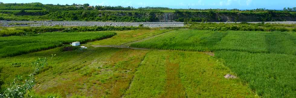 Fvrier 2014 - St-Louis - Interconnexion - Rivire St-Etienne