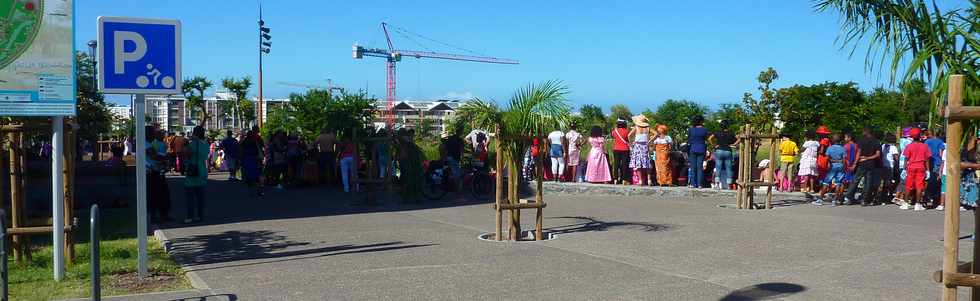 Mardi gras 4 mars 2014 - St-Pierre - Dfil de carnaval  l'cole Raphal Barquissau -