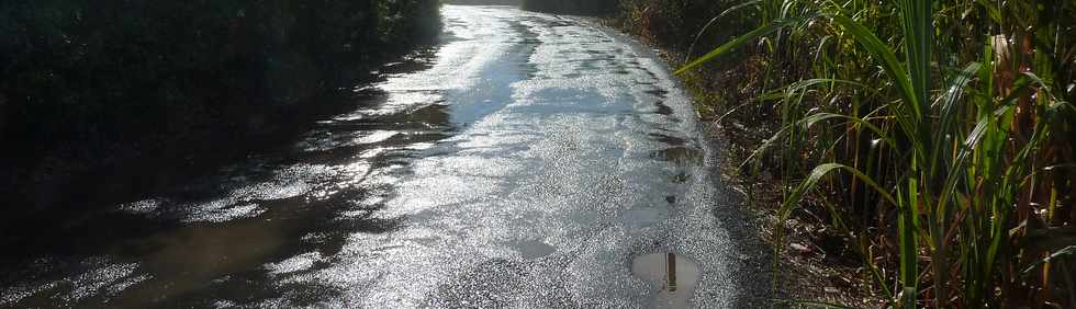 19 mars 2014 - St-Pierre - Eau d'irrigation sur le chemin de Bassin Plat