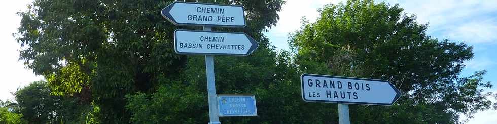 19 mars 2014 - St-Pierre - Chemin Bassin chevrettes