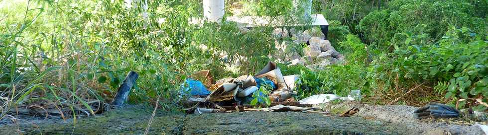 19 mars 2014 - St-Pierre - Pont sur la Ravine de l'Anse - Dtritus