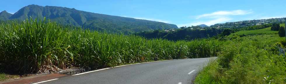 21 mars 2014 - Dassy - Vers le Bras de Pontho