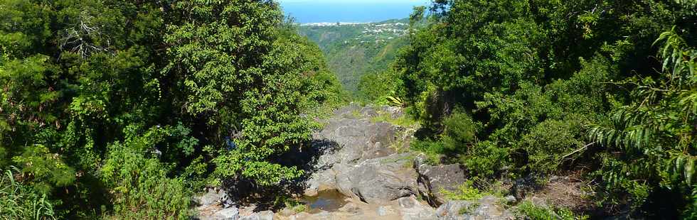 21 mars 2014 - D27 - Bras de Pontho - Cascade Georget