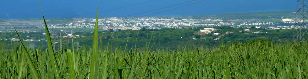 Vue sur St-Louis depuis le Tampon 600