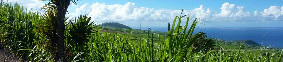 2 avril 2014 - St-Pierre - Chemin Grand-Pre - Piton du Calvaire - Piton de Grande Anse