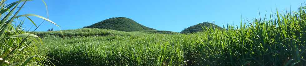 2 avril 2014 - St-Pierre - Chemin Grosset - Piton Mont Vert