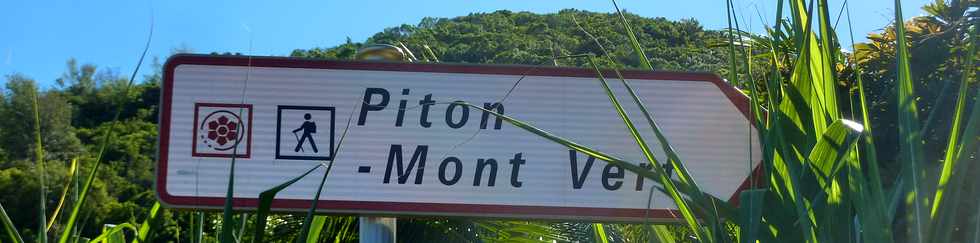 2 avril 2014 - St-Pierre - Chemin Grosset - Piton Mont Vert