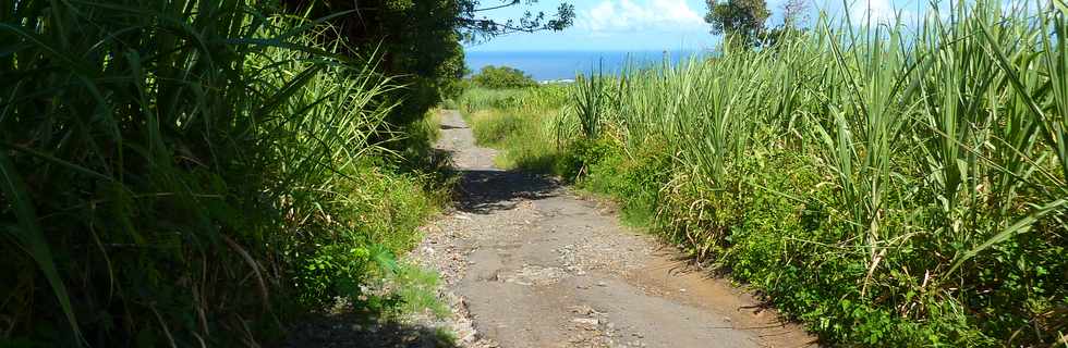 2 avril 2014 - Ligne Paradis - Chemin de la Salette -