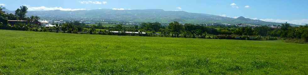 6 avril 2014- St-Pierre - Herbages