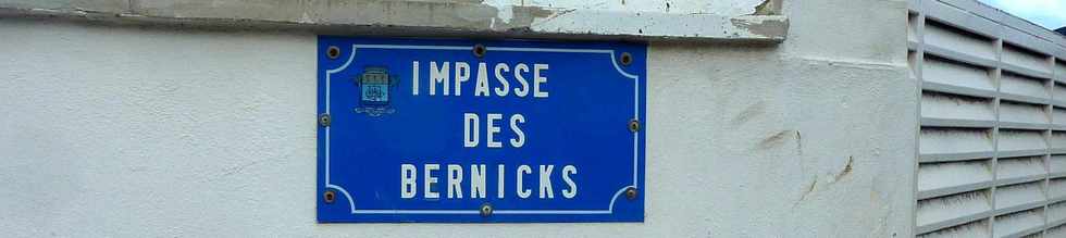 9 avril 2014 - St-Pierre - Impasse des Bernicks