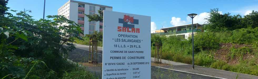 20 avril 2014 - St-Pierre - Opération Les Salanganes