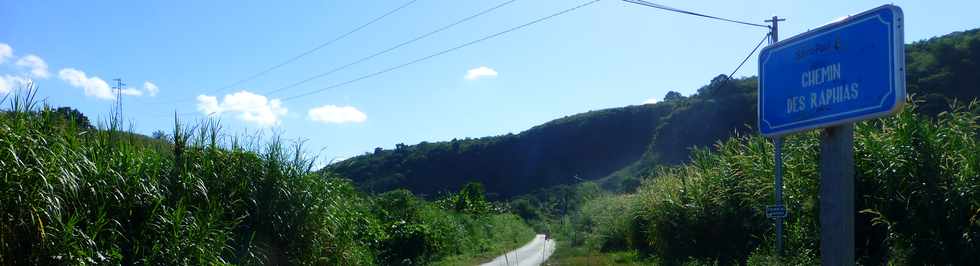 25 avril 2014 - St-Paul - Tour des Roches - Chemin des Raphias