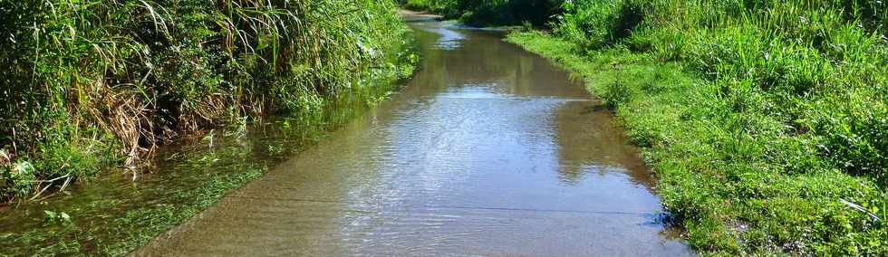 25 avril 2014 - St-Paul - Tour des Roches - Chemin des Raphias inond - Ravines Jardin- Lolotte