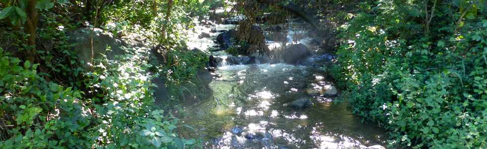 25 avril 2014 - St-Paul - Chemin du Dboul - Ravine Lolotte