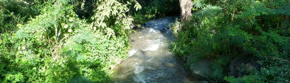 25 avril 2014 - St-Paul - Chemin du Dboul - Ravine Prcipice