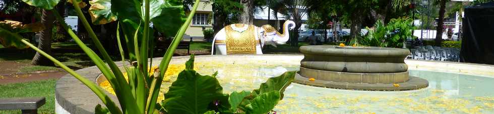 25 avril 2014 - St-Paul - Elphant devant la mairie