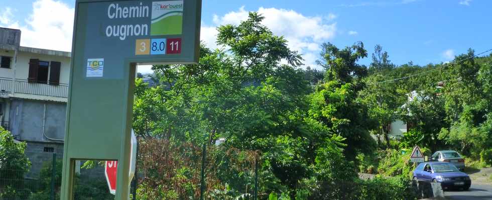 2 mai 2014 - St-Paul - Bellemne - Chemin Lougnon